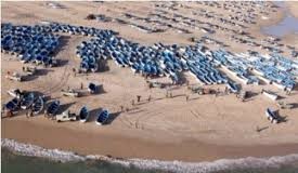 مهنيوا الصيد بالداخلة يطالبون بفتح نقطة صيد جديدة في مراسلة موجهة الى وزير الفلاحة والصيد البحري