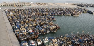سنة 2013 تسجل تراجع كمية المصطادات بطانطان
