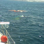 صورة القارب الذي إنقلب بمدينة آسفي وعليه ستة بحارة