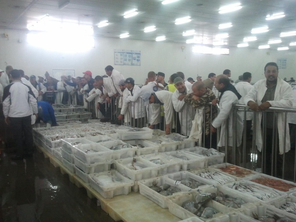 سوق السمك 1106