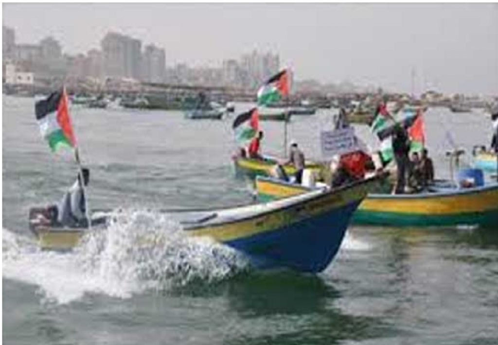 الصيد بغزة