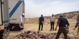 إتلاف كميات مهمة من الأخطبوط تم حجزها على متن قارب بعد نهاية موسم الصيد بأنترفت