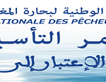 banner-confédération-maroc-bleu