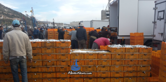ميناء أكادير بوابة استهلاك السوسيين للأسماك في ظل افتقاد موائدهم إلى الأنواع الجيّدة منها