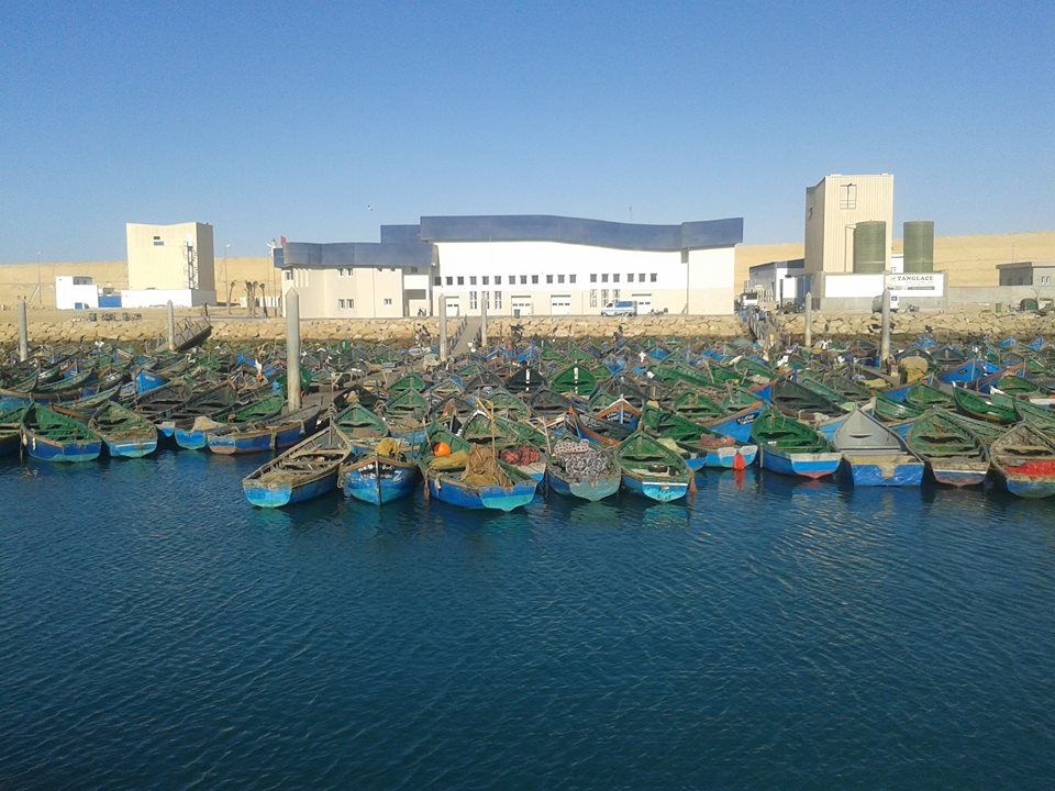 الصيد الثقليدي بميناء بوجدور
