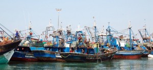 photo du port de Dakhla sans les odeurs....