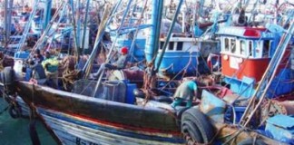 وظائف الصيد البحري تخفض البطالة بالمغرب هذا العام