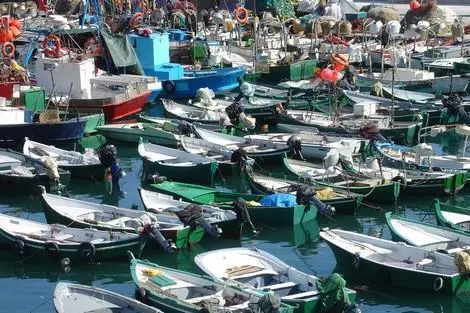 الغرفة المتوسطية تستعد لتعميم سترة النجاة من الجيل الجديد في الصيد التقليدي بالمنطقة