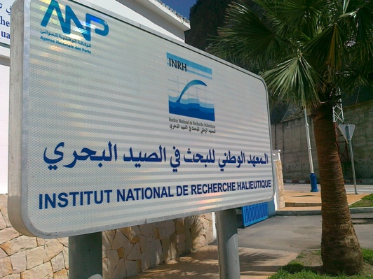 المعهد الوطني للبحث في الصيد البحري