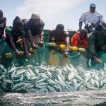 إفريقيا ملاذ البواخر الممارسة للصيد الغير مشروع