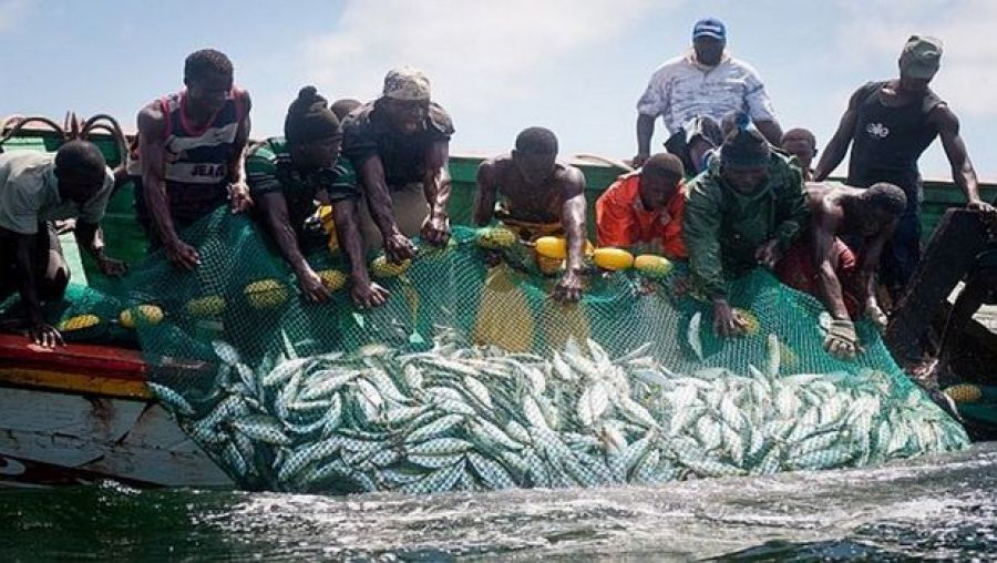 إفريقيا ملاذ البواخر الممارسة للصيد الغير مشروع