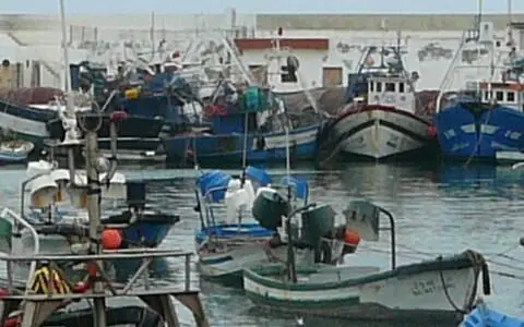 المضيق .. ميناء المدينة يستعيد حيويته تدريجيا بعد عودة تسيدها سمك العبور