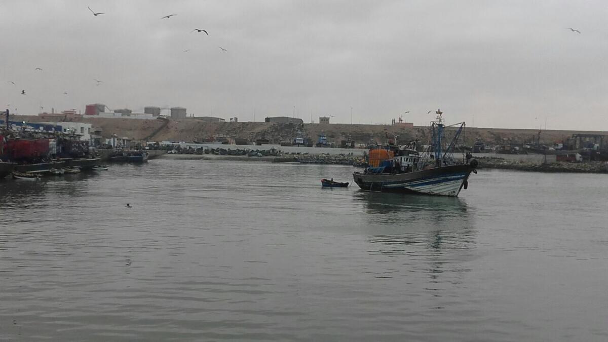 سحب السجل من مركبين للصيد الساحلي لإرتكابهما مخالفات بمياه طانطان