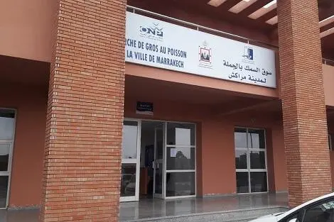 سوق السمك بمراكش على صفيح ساخن.. و”الثلج” يزيده لهيبا مع إرتفاع حرارة الصيف