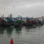 ميناء طانطان (3)