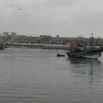 ميناء طانطان (4)