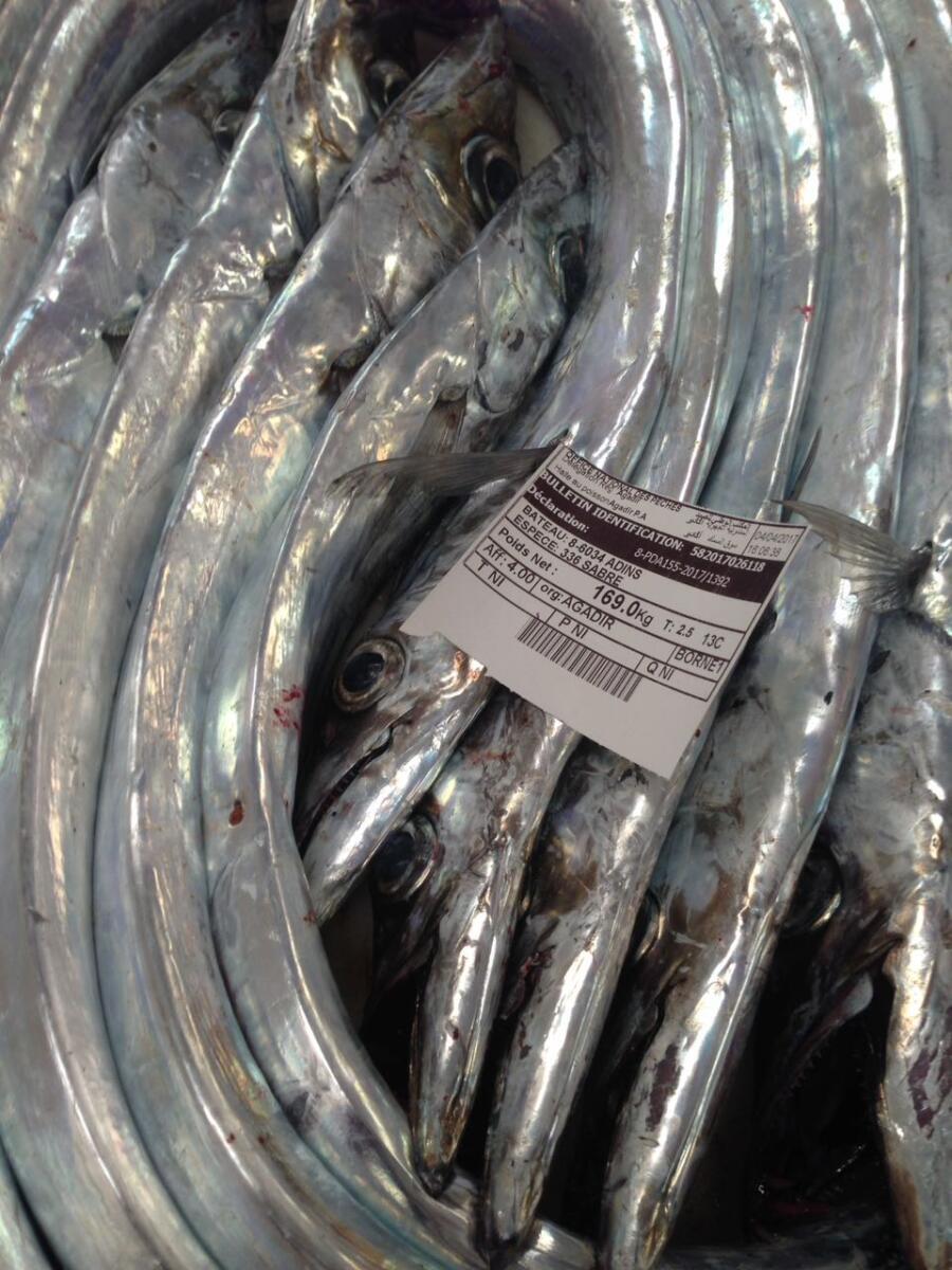 السمطة تنتعش بسوق السمك بميناء اكادير وسط مطالب بتحسين ظروف التسويق