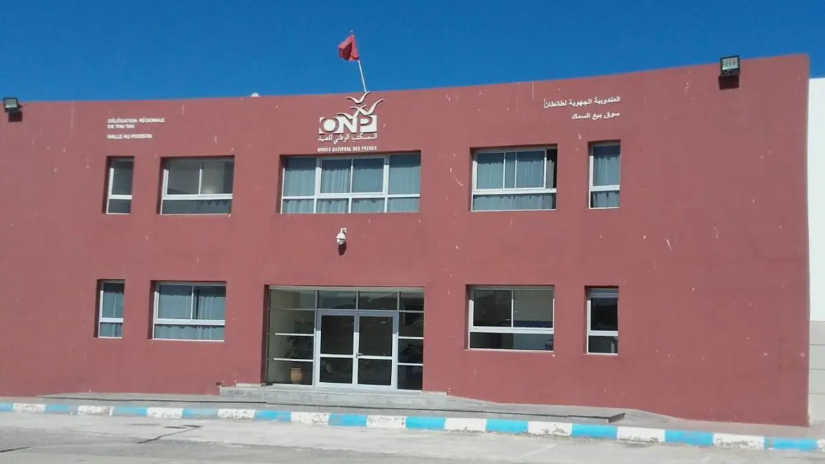 “الفوضى” تمنع مراكب الصيد بالجر من تسويق مصطاداتها بسوق السمك بالوطية