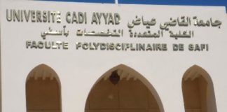 باحثون وخبراء يناقشون يآسفي دور الصناعات السمكية في التنمية الاقتصادية
