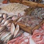 أسعار-السمك-تشتعل-بالأسواق-المغربية-وسط-صمت-مريب-من-الحكومة