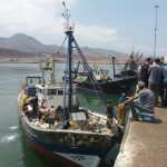 مراكب الصيد بالجر تعود إلى ميناء سيدي إفني