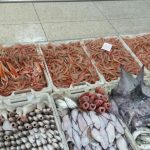 أسماك المضيق سوق السمك (7)