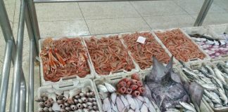 سمك العبور ينوب عن السمك المحلي بأسواق المضيق بعد ان غيبته رداءة الأحوال الجوية