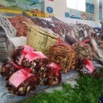 سوق السمك أكادير (3)
