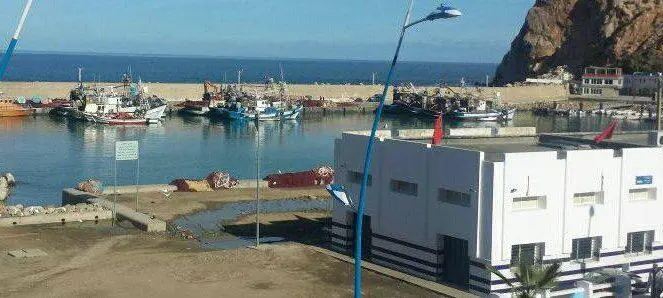 الجبهة .. تدفق طفيف لمفرغات الصيد ينعش رواج سوق السمك بالميناء