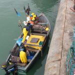 ميناء الوطية الصيد التقليدي (1)