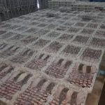 سوق السمك الوطية (1)
