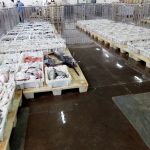 سوق السمك بميناء أكادير الإثنين 28 ماي 2018 (6)