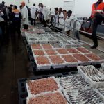 سوق السمك بميناء أكادير الإثنين 28 ماي 2018 (8)