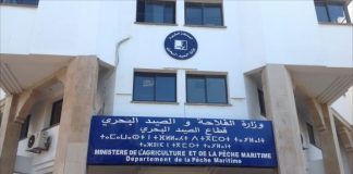 وزارة الصيد تتحرك بالموانئ لرفع منسوب اليقظة في التعاطي مع كورونا
