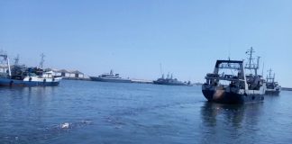 بواخر الشركة الصينية المغربية تنطلق صوب مصايد الأخطبوط بعد تلبية مطالب البحارة