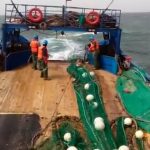 مراكب الصيد في أعالي البحار صدريات النجاة شروط السلامة (5)