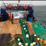 مراكب الصيد في أعالي البحار صدريات النجاة شروط السلامة (5)