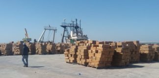 الداخلة.. بواخر الصيد تنطلق في تفريغ الأطنان من الأخطبوط وسط ترتيبات تنظيمية ولوجستيكية