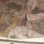 IMG-20190313-WA0110