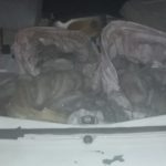 IMG-20190313-WA0111