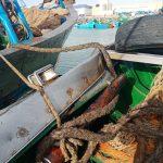 IMG-20190322-WA0005