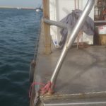 IMG-20190325-WA0090