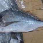 IMG-20190504-WA0228