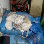 IMG-20190619-WA0010