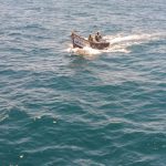 IMG-20190619-WA0060