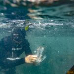 Big Ocean Clean Up