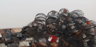 وزارة الصيد تتوعد مستعملي الأقفاص بمصايد الأخطبوط