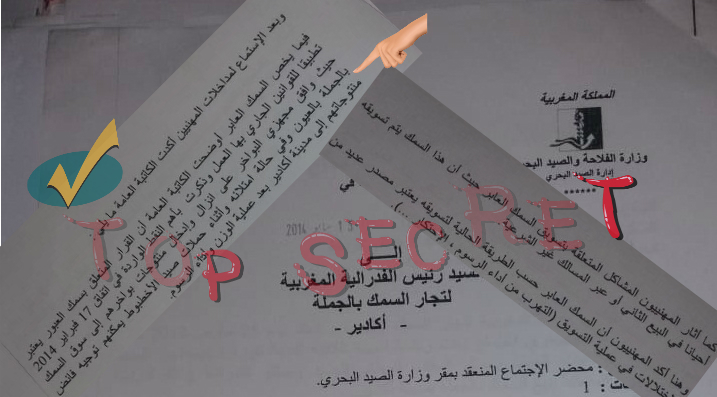طانطان… سمك العبور يكشف تلاعبات الإدارة والمجهزين في خرق سافر للقوانين