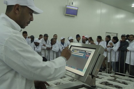 أخطبوط “الطرانزيت” يفشل في إعتماد الطاكس وتمرير مصطاداته السمكية بميناء طانطان
