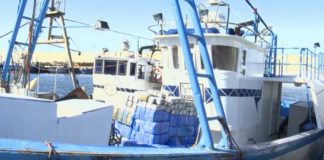 طنجة .. حجز أزيد من طن من مخدر الشيرا على متن مركب للصيد الساحلي بالجر بميناء الصيد